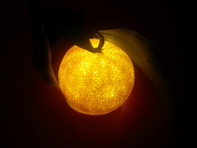 Un photophore clémentine avec une bougie LED